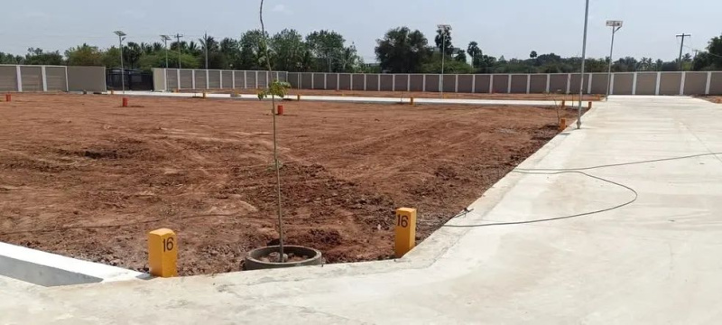  Residential Plot 1800 Sq.ft. for Sale in Panjapur, Tiruchirappalli