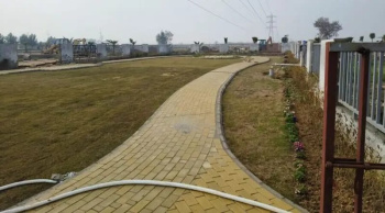  Residential Plot for Sale in Chhuchhakwas, Jhajjar