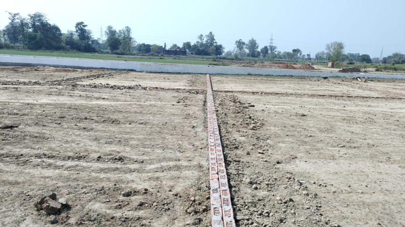  Residential Plot 1000 Sq.ft. for Sale in Hata, Kushinagar