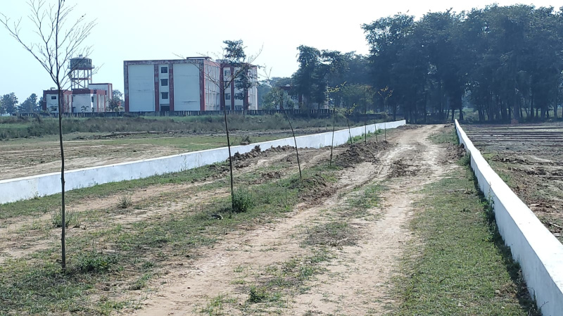  Residential Plot 1000 Sq.ft. for Sale in Hata, Kushinagar