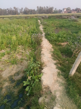  Agricultural Land for Sale in Khajani, Gorakhpur