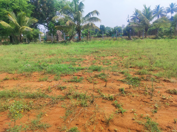  Agricultural Land for Sale in Thalli, Hosur