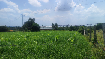 Agricultural Land for Sale in Kelamangalam Road, Hosur