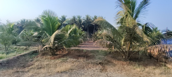  Agricultural Land for Sale in Periya Negamam, Coimbatore