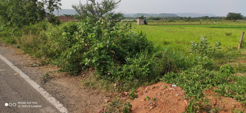  Agricultural Land 2 Acre for Sale in Annavaram, Kakinada