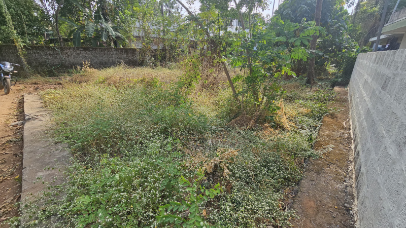  Residential Plot 6 Cent for Sale in Irumpanam, Ernakulam