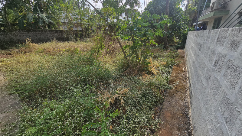  Residential Plot 6 Cent for Sale in Irumpanam, Ernakulam