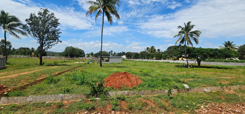  Residential Plot 1200 Sq.ft. for Sale in Devanahalli, Bangalore