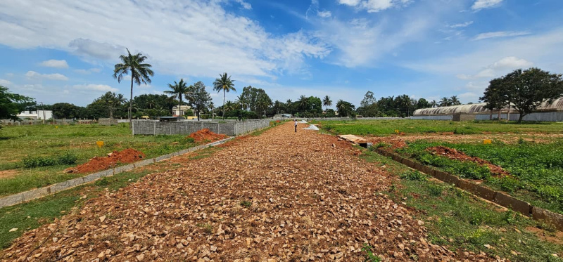 Residential Plot 1200 Sq.ft. for Sale in Devanahalli, Bangalore