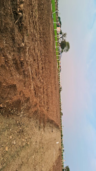  Agricultural Land for Sale in Rau, Indore