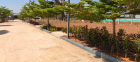 Residential Plot for Sale in Anekal Road, Bangalore