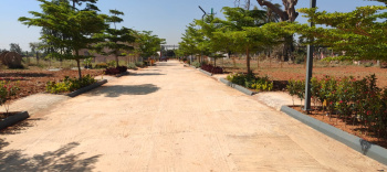  Residential Plot for Sale in Anekal, Bangalore