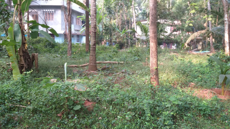  Residential Plot 12 Cent for Sale in Payyoli, Kozhikode