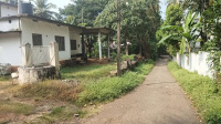 3 BHK House for Sale in Mannarkkad, Palakkad