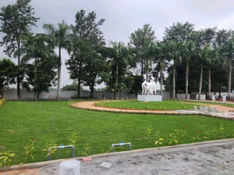  Residential Plot 1200 Sq.ft. for Sale in Kannur, Bangalore