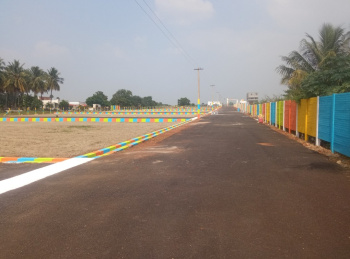  Residential Plot for Sale in Amaravathy Nagar, Karur