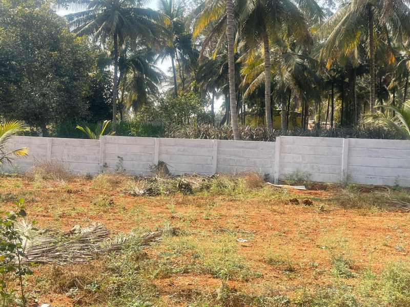  Residential Plot 800 Sq.ft. for Sale in Kumbalgodu, Bangalore