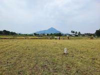  Residential Plot for Sale in Kilnachipattu, Tiruvannamalai