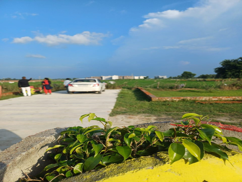  Residential Plot 1250 Sq.ft. for Sale in Deva Road, Lucknow