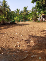  Residential Plot for Sale in Mavelikkara, Alappuzha