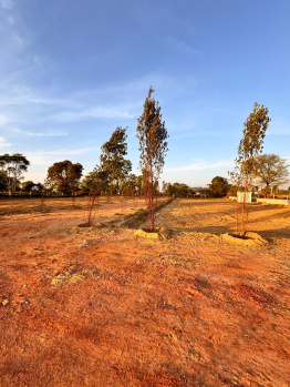  Residential Plot for Sale in Chaksu, Jaipur