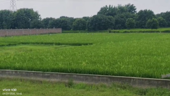  Commercial Land for Sale in Aliganj, Bhagalpur