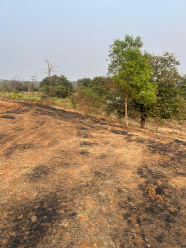  Agricultural Land for Sale in Neral, Raigad