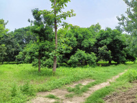  Agricultural Land for Sale in Thakurdwara, Moradabad