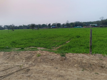  Residential Plot for Sale in Amolapatty, Dibrugarh