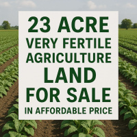  Agricultural Land for Sale in Kheri, Lakhimpur Kheri