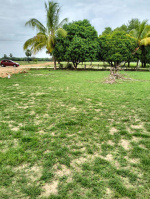 Residential Plot for Sale in Alair, Nalgonda