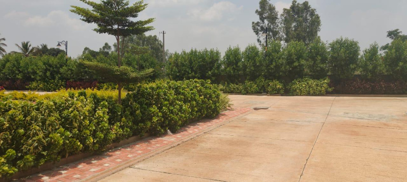  Residential Plot 1200 Sq.ft. for Sale in Whitefield, Bangalore
