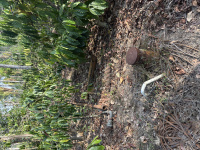  Agricultural Land for Sale in Kushalnagar, Kodagu