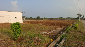  Residential Plot for Sale in Rajahmundry, East Godavari