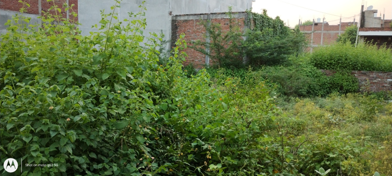  1050 Sq.ft. Residential Plot for Sale in Mandhana, Kanpur
