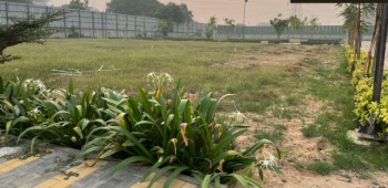  Residential Plot for Sale in Sector 70A Gurgaon