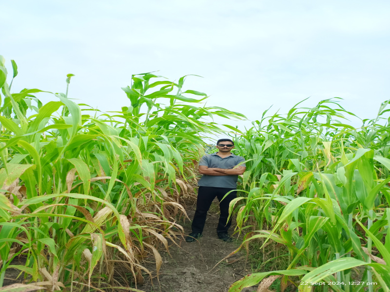  Agricultural Land 14 Ares for Sale in Limbdi, Surendranagar