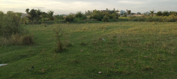  Residential Plot for Sale in Bhawanipatna, Kalahandi