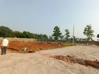  Residential Plot for Sale in Bhogapuram, Visakhapatnam
