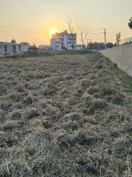  Residential Plot for Sale in Betnoti, Mayurbhanj