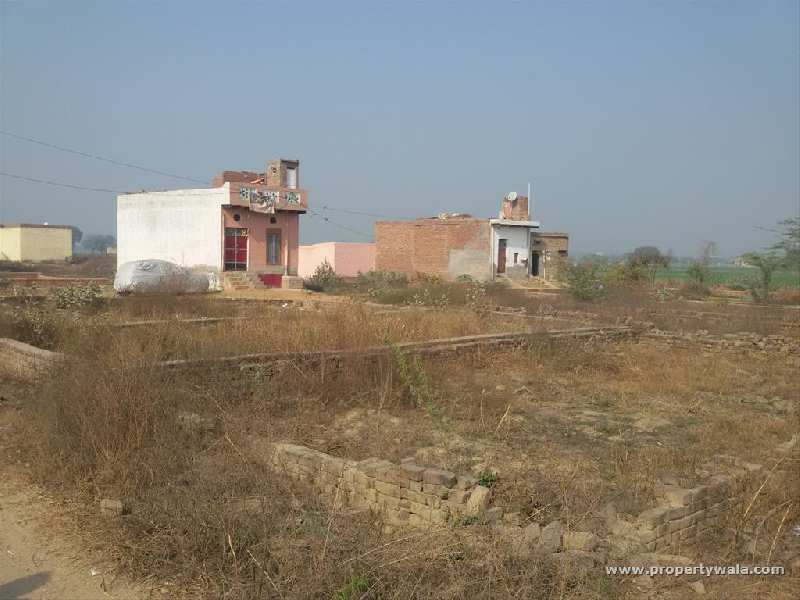  Residential Plot 250 Sq. Yards for Sale in Barsana, Mathura