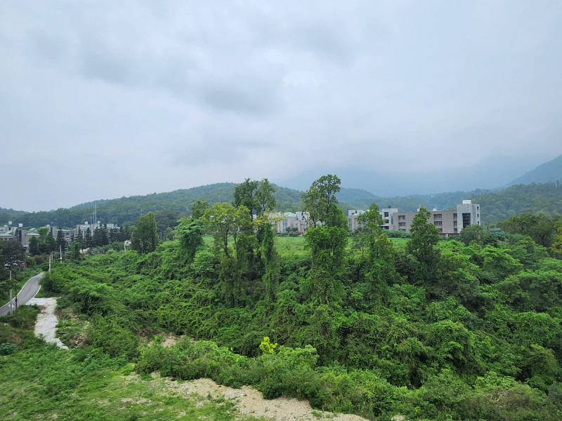  140 Sq. Yards Studio Apartment for Sale in Bidholi, Dehradun