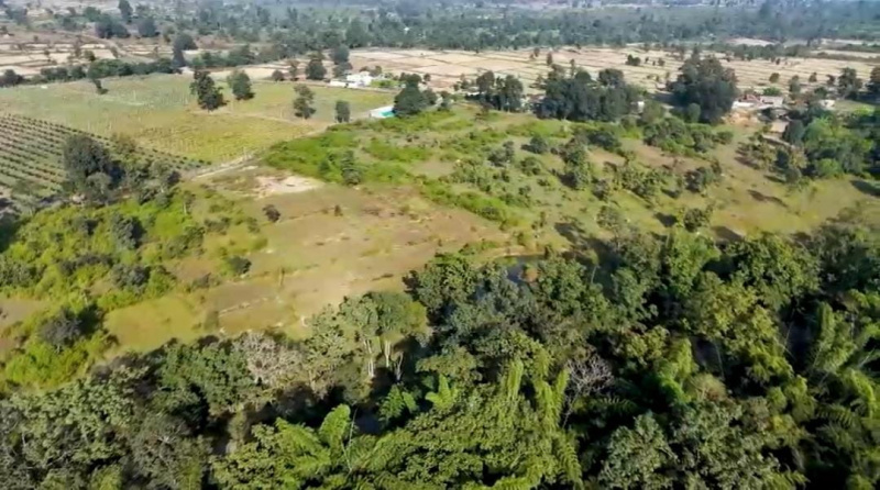  13 Acre Agricultural/Farm Land for Sale in Baihar, Balaghat