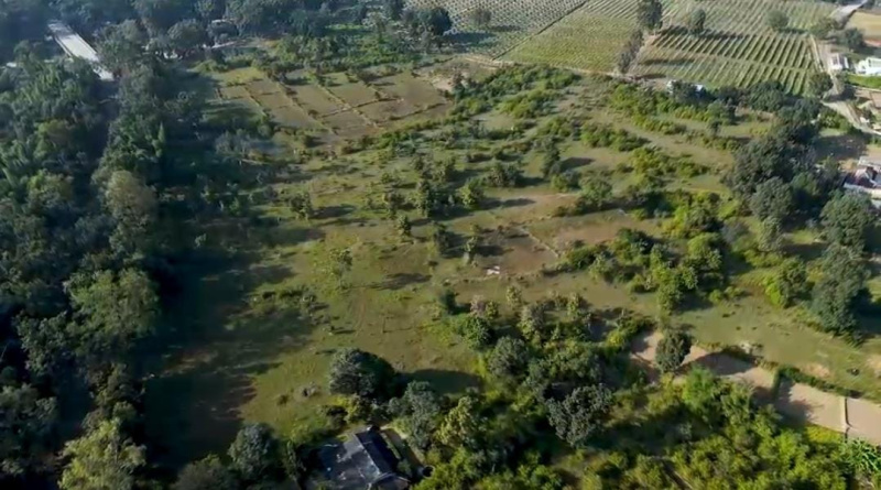  13 Acre Agricultural/Farm Land for Sale in Baihar, Balaghat