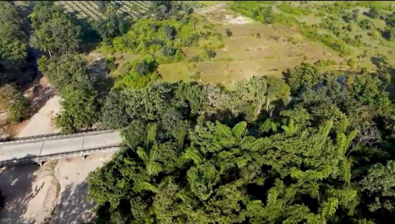  13 Acre Agricultural/Farm Land for Sale in Baihar, Balaghat