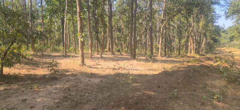  4 Acre Agricultural/Farm Land for Sale in Baihar, Balaghat