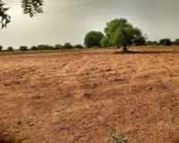  Agricultural Land for Sale in Lepakshi, Anantapur