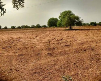 Agricultural Land for Sale in Lepakshi, Anantapur