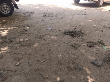  Residential Plot for Sale in Ambasamudram, Tirunelveli