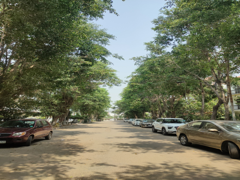  220 Sq.ft. Residential Plot for Sale in Sector 115 Mohali